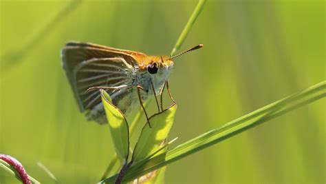 A World Of Endangered Animals 2025 𝙵𝚞𝚕𝚕 Episodes
